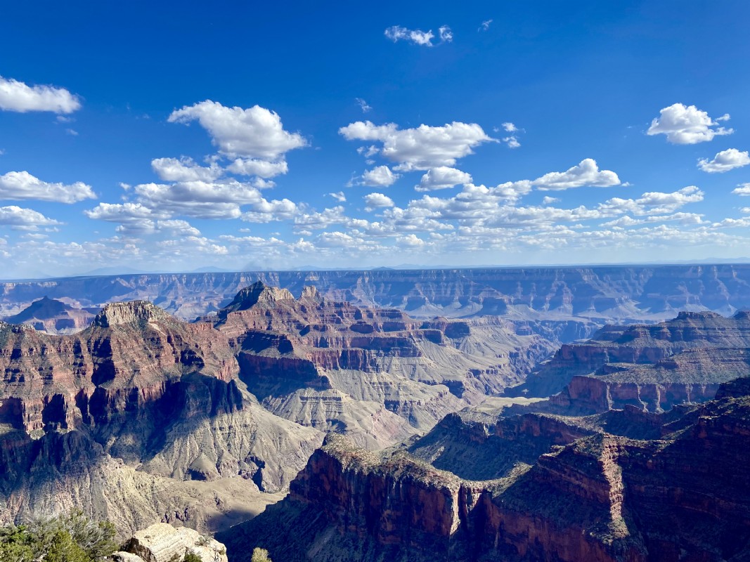 AZ Landscape 1